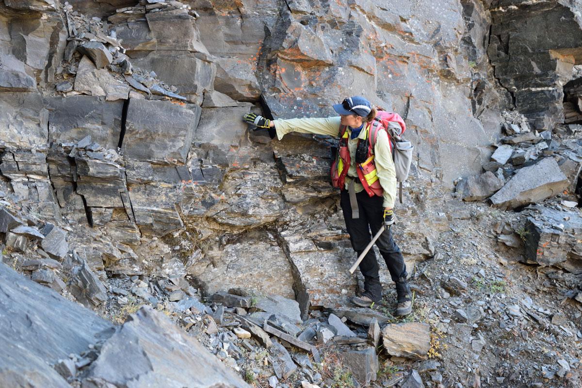 Image of a Dr. Partin in the field