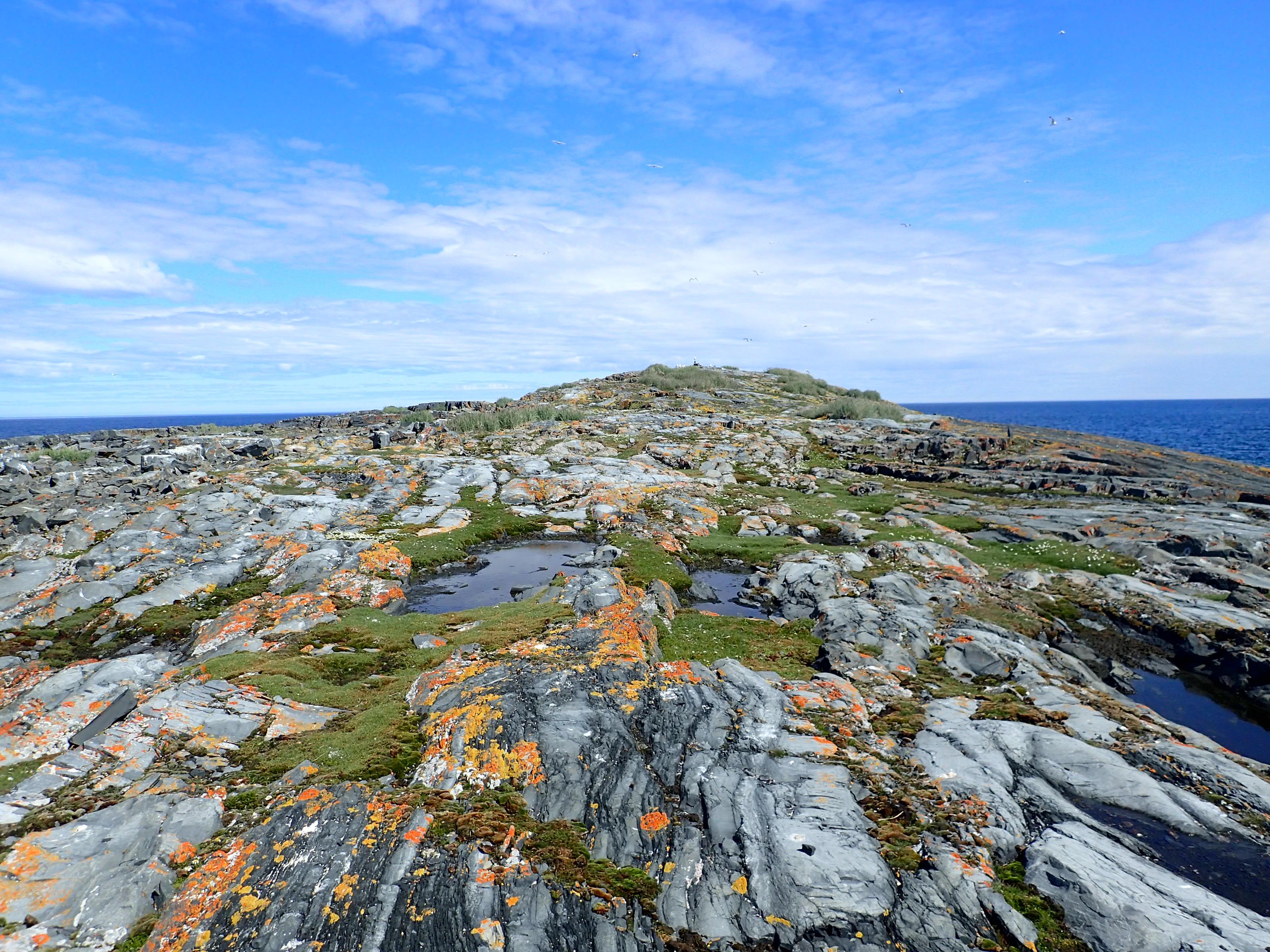 Image of Belcher Islands