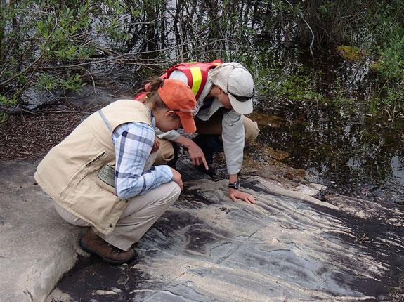 Fieldwork in the Canadian Shield